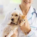 Pets and Pet Care